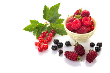 A group of fresh berries. Red and black currants with green leaves, raspberries in a bowl and  loganberry isolated on white background