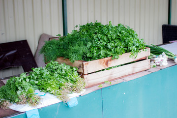 Selling fresh herbs in a market. Parsley, dill and green onion  in a box outdoors in a greenery shop. Farming and small green business concept