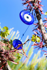 Amulet evil eye will protect from troubles and unhappiness hanging in the branches of trees. Turkey