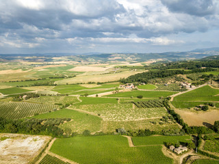 Fototapeta na wymiar The vineyard of Montalcino