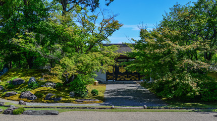 Idyllic landscape of Japanese garden