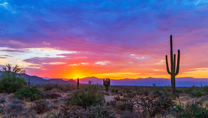Brilliant AZ Sunrise In North Scottsdale Desert Preserve