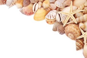 Starfishes with seashells isolated on white background. 