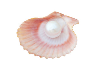 White pearl in scallop seashell isolated on white