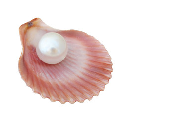 White big pearl in seashell isolated on white