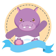 cute little hippo in frame with ribbon