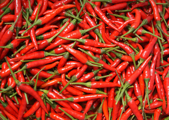 Red chili pepper background