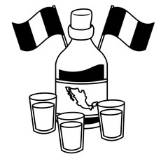 viva mexico tequila bottle flags and cups