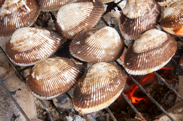 Barbecue grill cooking seafood, cockle seashells cooking on grill