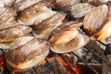 Cockles seashells cooking 