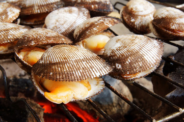 Cockle seashells cooking on grill