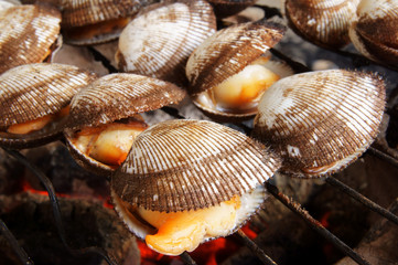 Barbecue grill cooking seafood, cockle seashells cooking on grill
