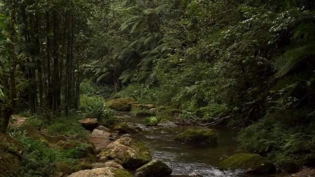 Waterfalls in Cuetzalan Mexico, Rainforest setting, can represent Tourism, conservation, isolation, exploration&hellip;