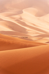 Beautiful sand dunes in the Sahara desert.
