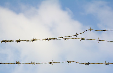 Wire mesh_01／鉄条網_01