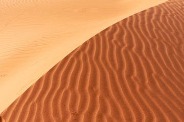 Beautiful sand dunes in the Sahara desert.