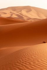 Beautiful sand dunes in the Sahara desert.