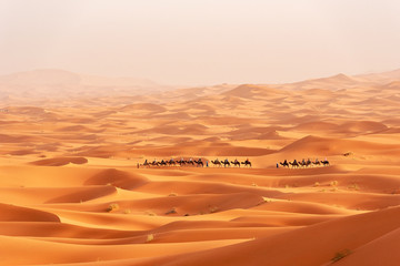 Fototapeta na wymiar Beautiful sand dunes in the Sahara desert.