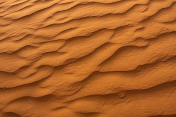 Beautiful sand dunes in the Sahara desert. - obrazy, fototapety, plakaty