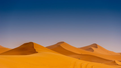 Fototapeta na wymiar Beautiful sand dunes in the Sahara desert.