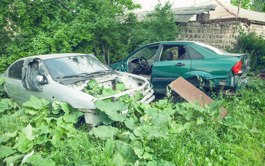 Abandoned cars in the green forest.