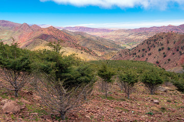 National Park, High Atlas, Morocco