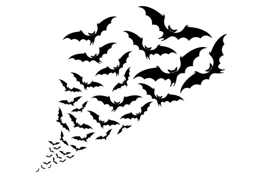 flying bats silhouettes. flock of bats