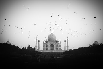 The magnificent Taj Mahal.