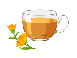 Calendula tea in glass cup with orange flower isolated on white background. Vector illustration of medical plant and healing herbal infusion in cartoon flat style.