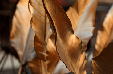 leaves painted in gold color outside restaurant