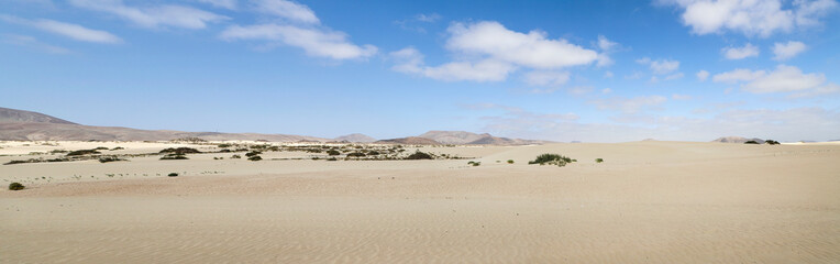 Fototapeta na wymiar Corralejo Desert on Fuerteventura, Spain.