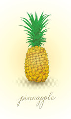 pineapple line art with texture