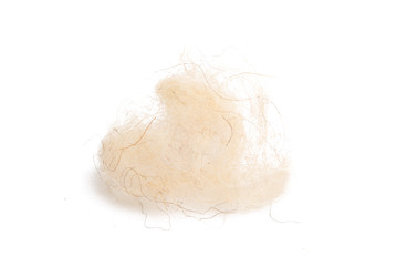 sheep wool isolated