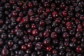 Berry Harvest - Natural Vitamins