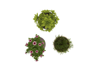 Flower in a pot set top view path selection for floor plan