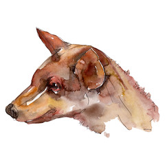 Dog head pet animal isolated. Watercolor background illustration set. Isolated dogs illustration element.