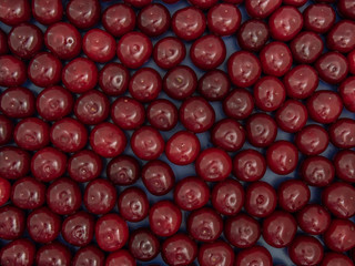 Fresh organic cherry berries. Fruit background.