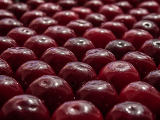 Fresh organic cherry berries. Fruit background.