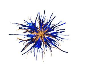 Fototapeta premium Blue abstract flower