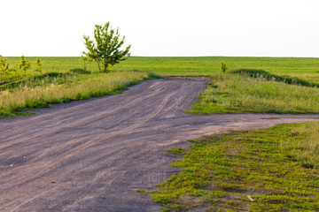 Dirt road in a field with green grass