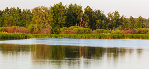 Lakeside with green trees and grass. Golden hour before sunset