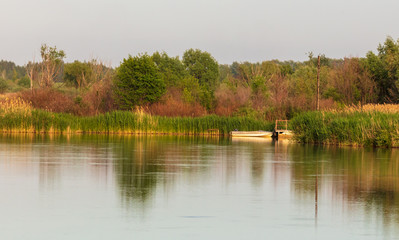 Obraz premium Lakeside with green trees and grass. Golden hour before sunset