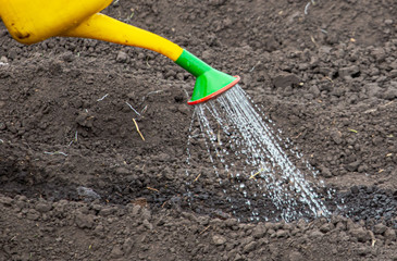 Watering the ground with watering a garden
