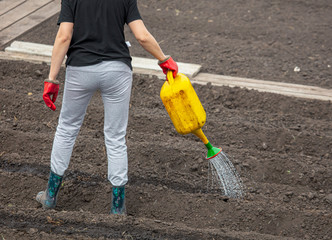A girl pours water from the watering can of the ground