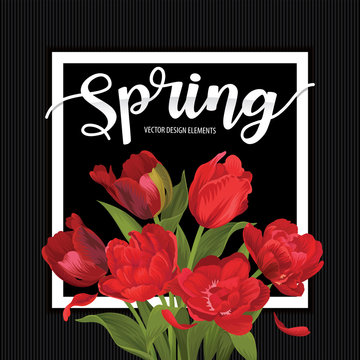 Blooming beautiful red tulip flowers background template. Vector set of blooming floral for wedding invitations, greeting card, voucher, brochures and banners design.