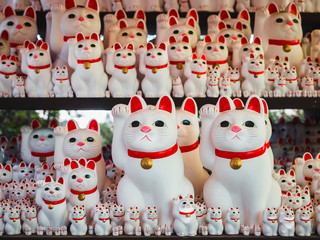 Lucky cat Maneki neko Japan culture in Gotokuji temple Tokyo