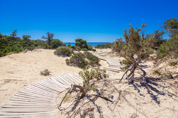 Exotic Chryssi island at the south of Crete, with the amazing Golden Beach, Greece