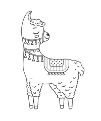 Cute outline doodle llama with hand drawn elements