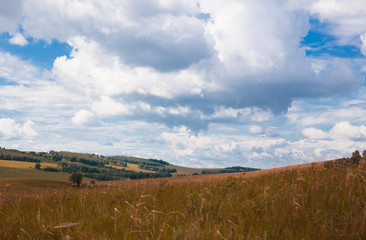 Blue sky with white clouds, trees, fields and meadows with green grass, against the mountains. Composition of nature. Rural summer landscape.