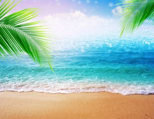 Fototapeta na wymiar beautiful sandy beach blurred background with palm green leave and Sandy shore
